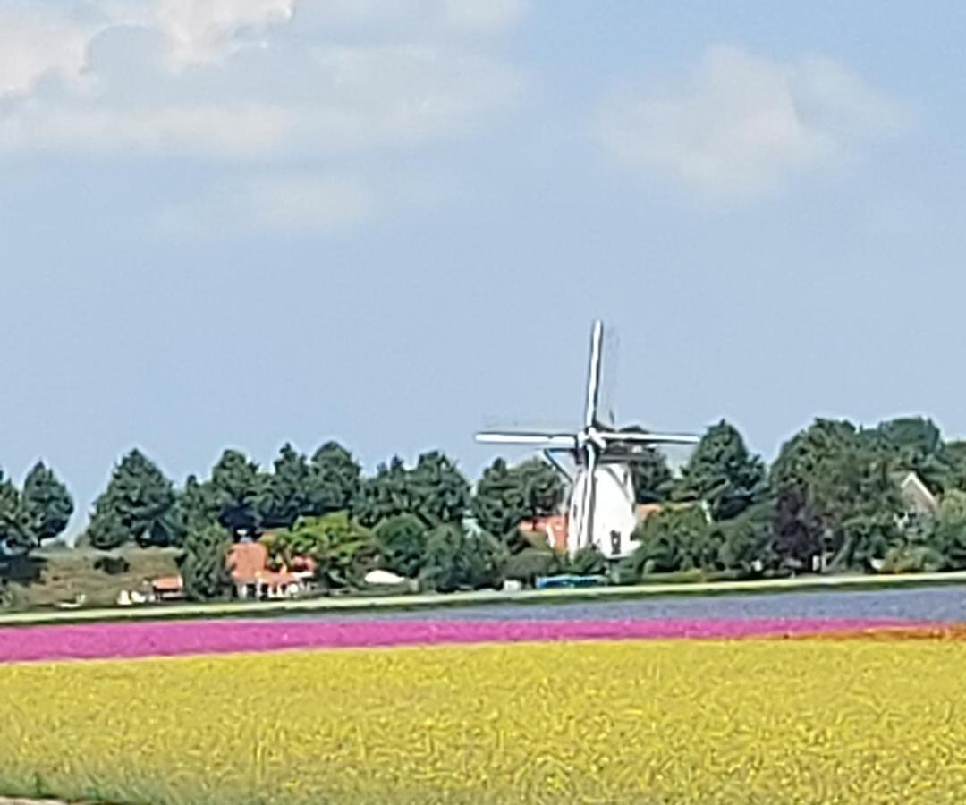 De Nieuwe Stal Apartamento Scherpenisse Exterior foto