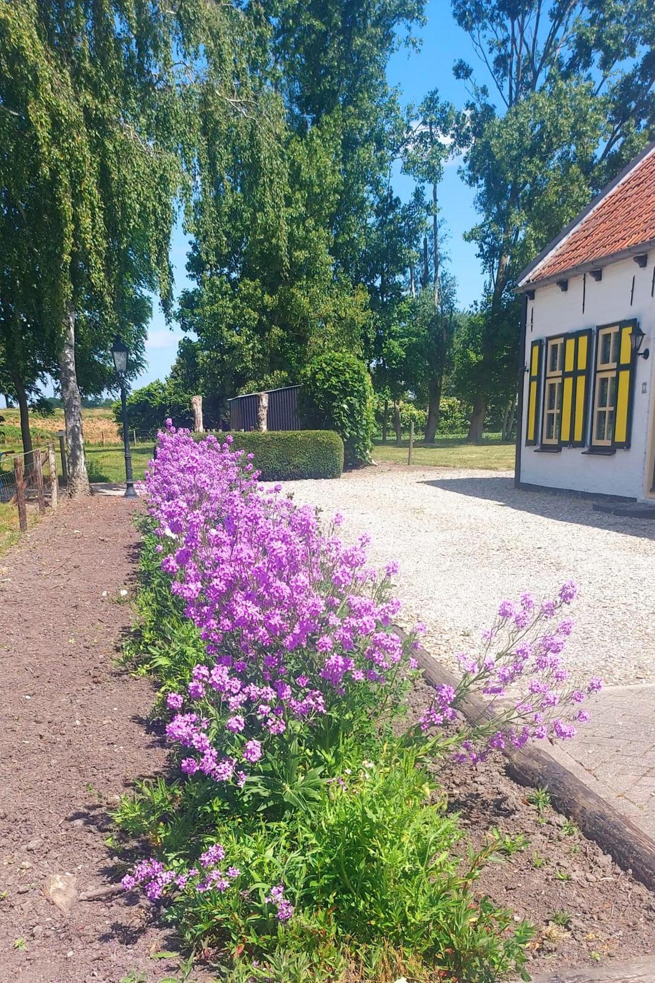 De Nieuwe Stal Apartamento Scherpenisse Exterior foto